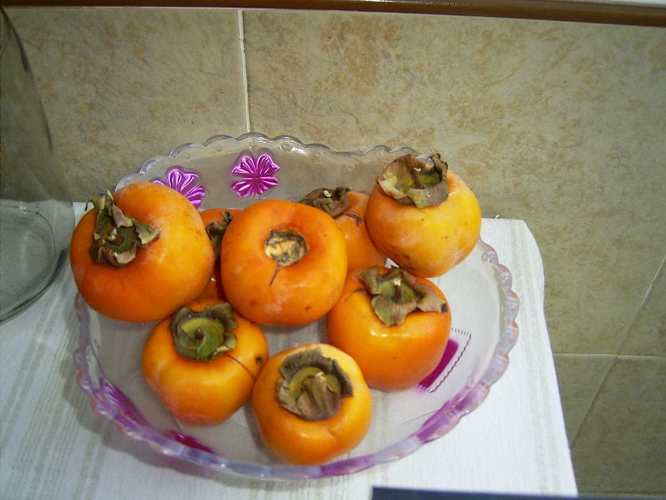 фотоапарат Ricoh Caplio RR30