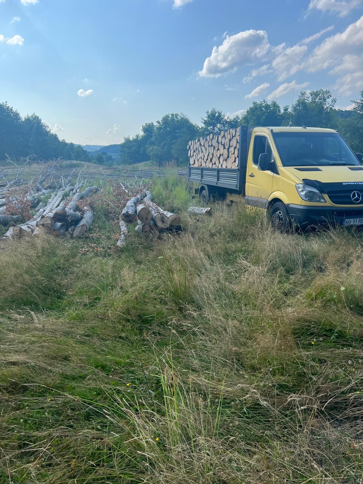 Vând lemne de foct esența tare fag,stejar,salcâm,carpen etc