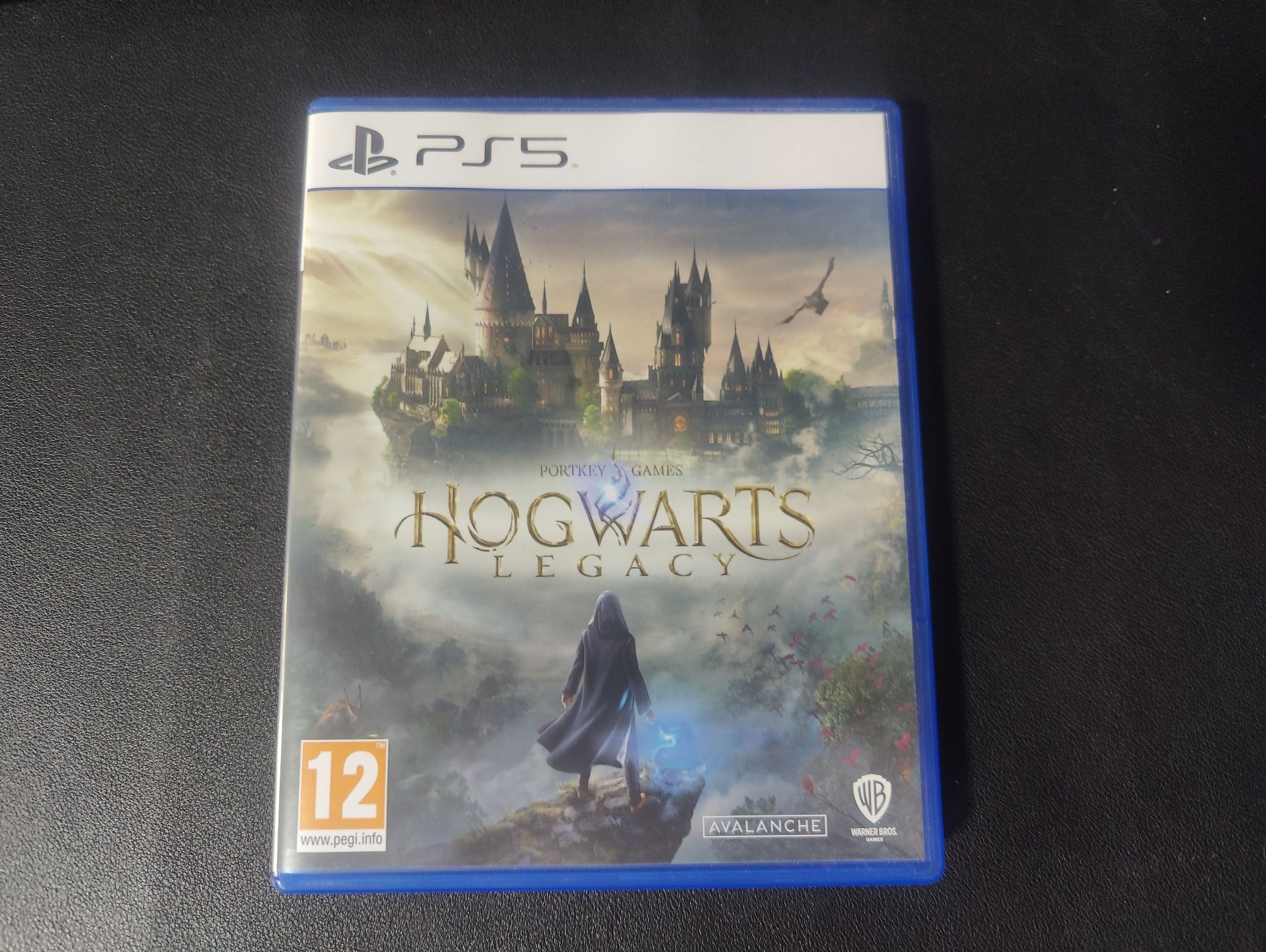 Продам Hogwarts Legacy
