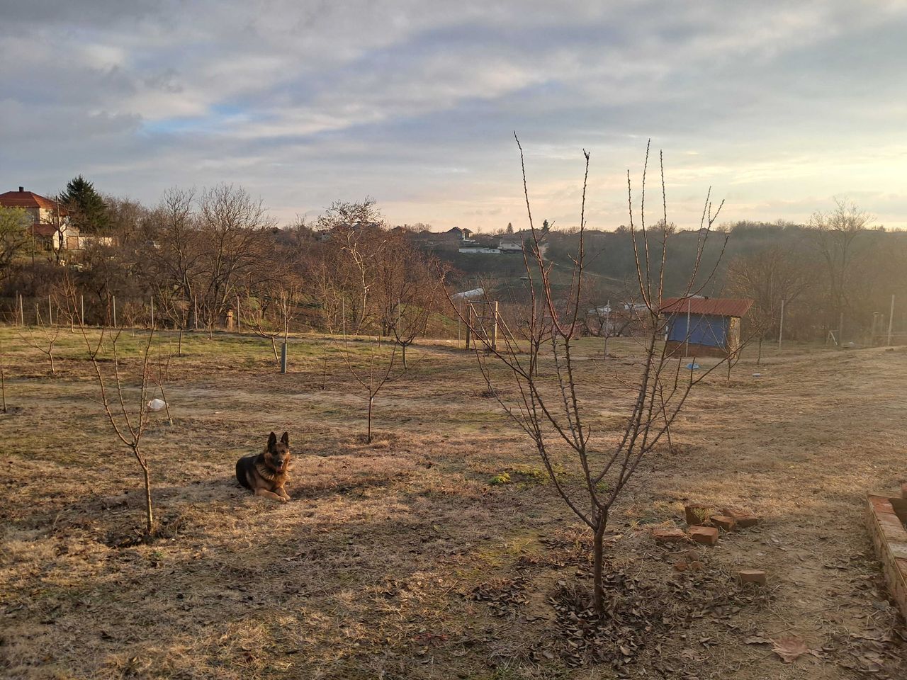 Продава се Парцел в с. Калипетрово, Област Силистра - 1176 кв.м за 15 €/кв.м - Снимка #4