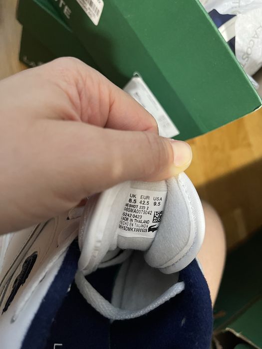 Lacoste pantof sport adidas