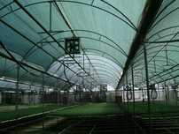 Plasa Umbrire Plante: Solarii/Sere și Gradini  2x50m=180lei,Tratata UV