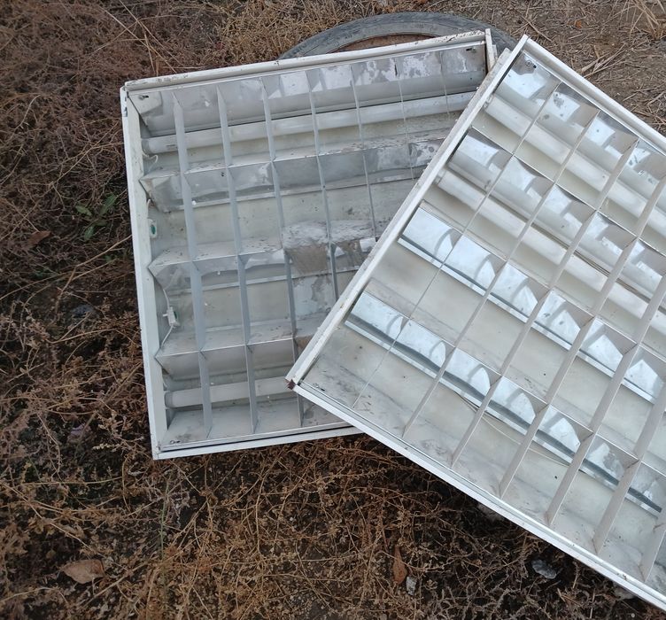 Светельник патолочный