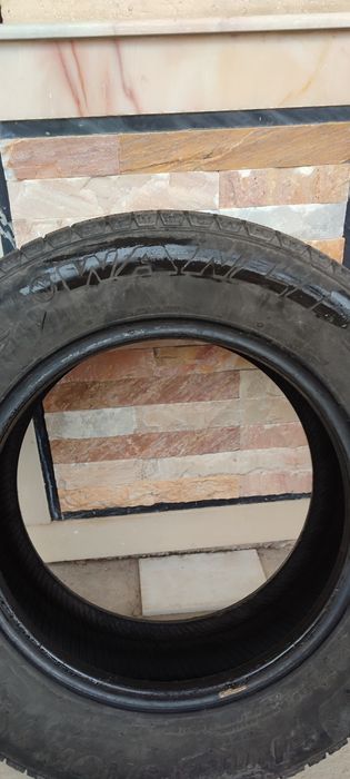 Қишки балон сотилади