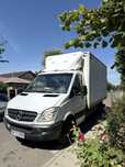 Mecedes Sprinter 313