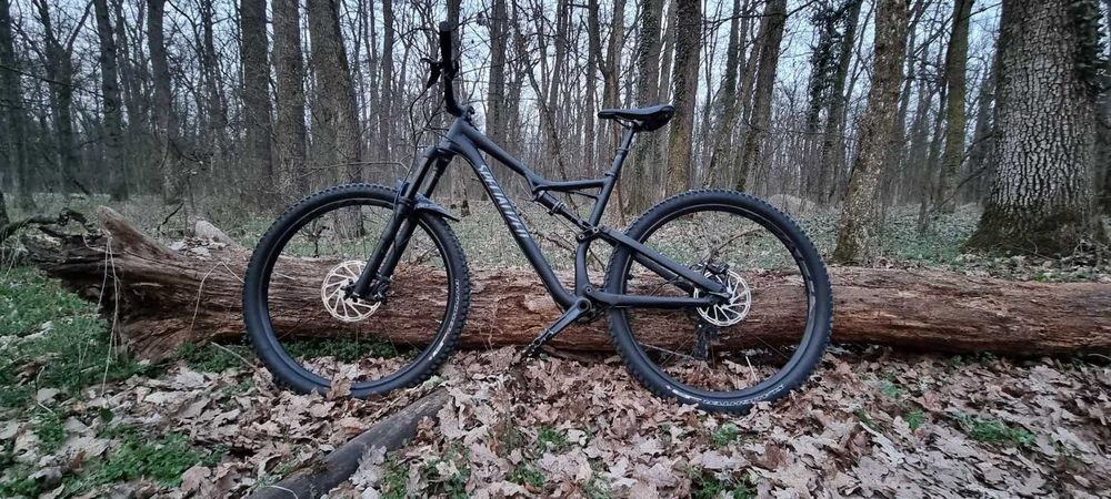 Specialized Stumpjumper FSR Comp 29 2017