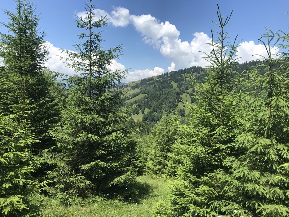 Teren Rucar Bran Valea Cheii