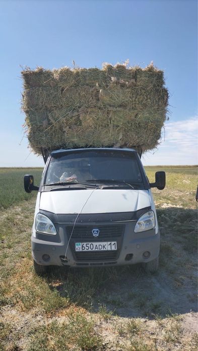 Қамыс прес бар  майда әдемі қамыс прес