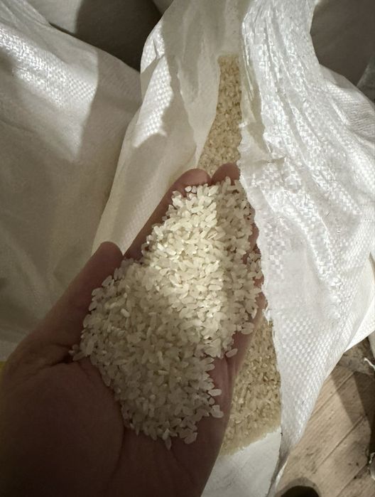 рис высшего качества