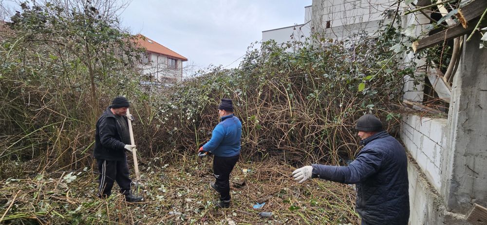 Curatare-cosire spatii verzi transport resturi vegetale