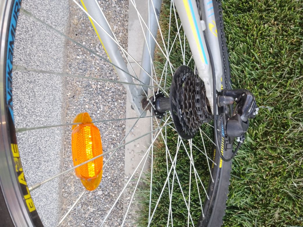 Biciclete Nakamura