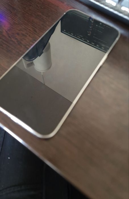 Iphone 13 pro max silver