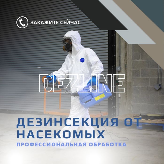 Дезинфекция от клопов