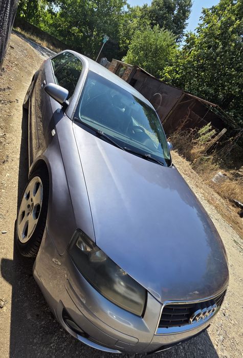 Audi A3 8p 2.0 TDI
