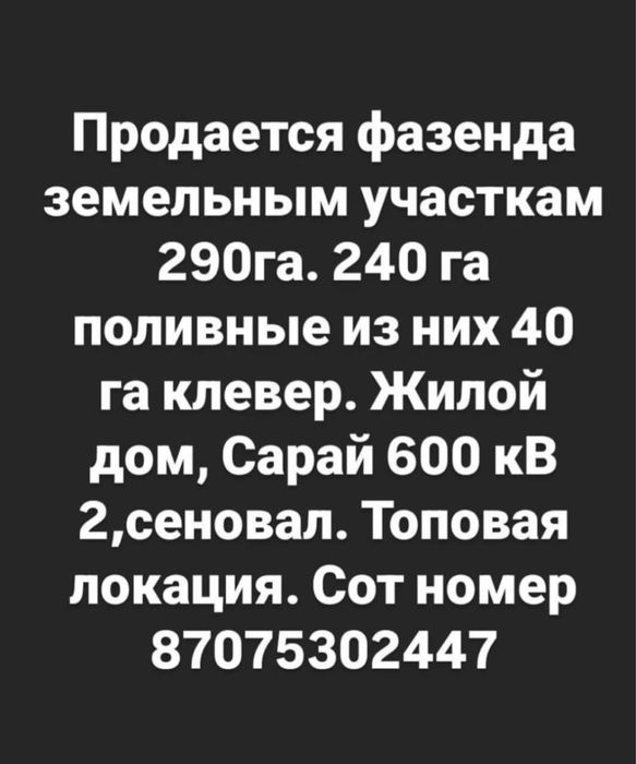 Срочно продается Фазенда в МЕРКЕ