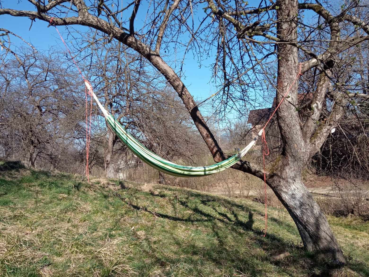 Teren intravilan cu tot cu avize și proiect A-frame