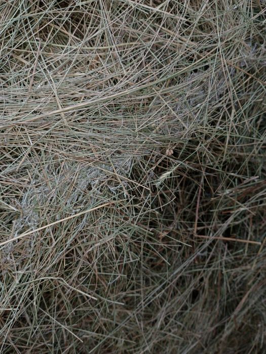 Продам сено первый укос житняк с ковылем 3.5 тонны