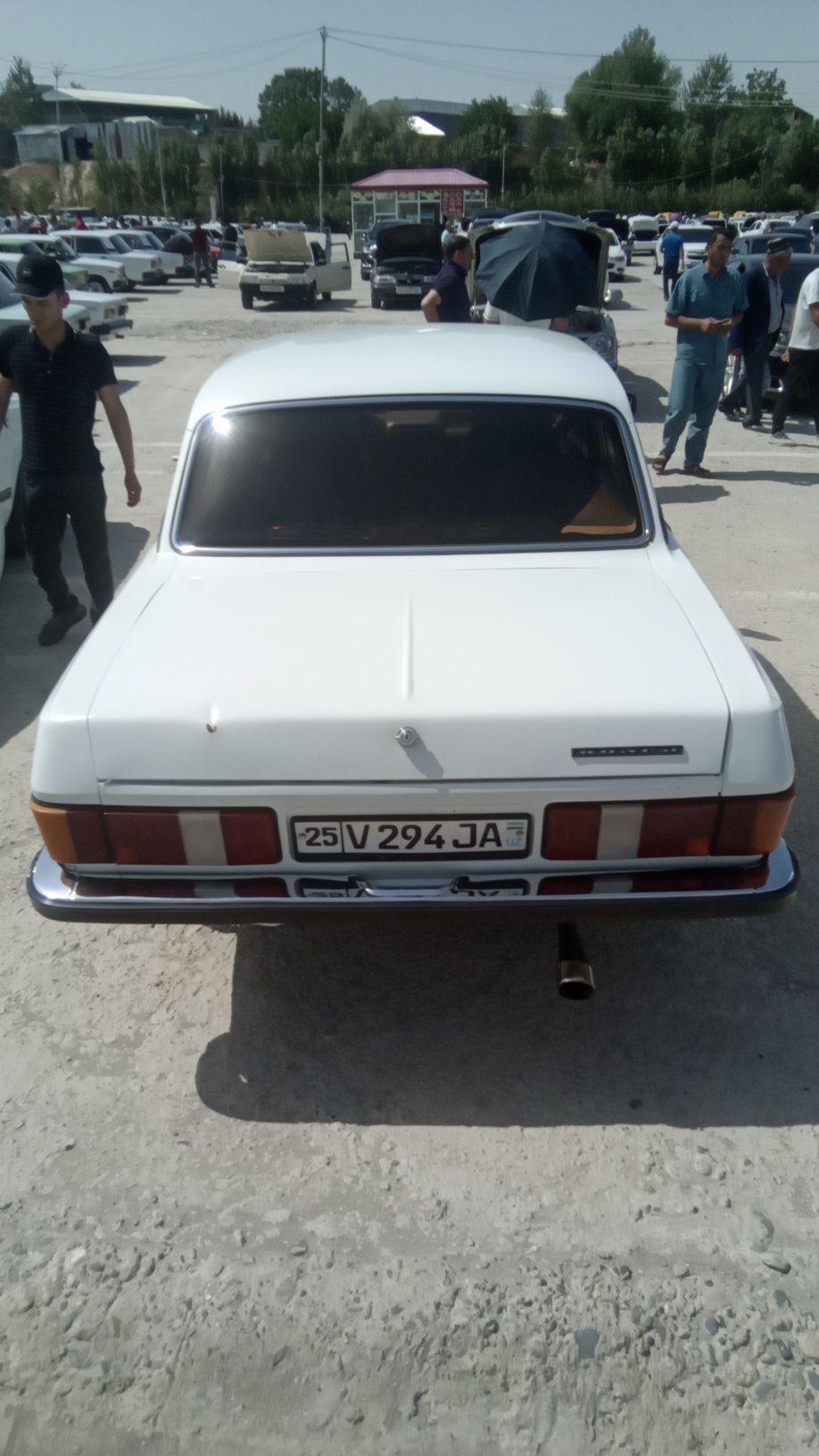 Volga 3102 jizzax