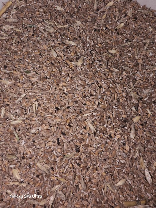 Пшеница в мешках