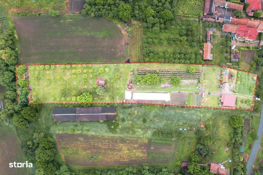 Viseaza, construieste, culege: Livada Paradisului – De Vanzare