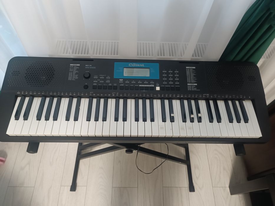 Orga electronica C. Giant M611K