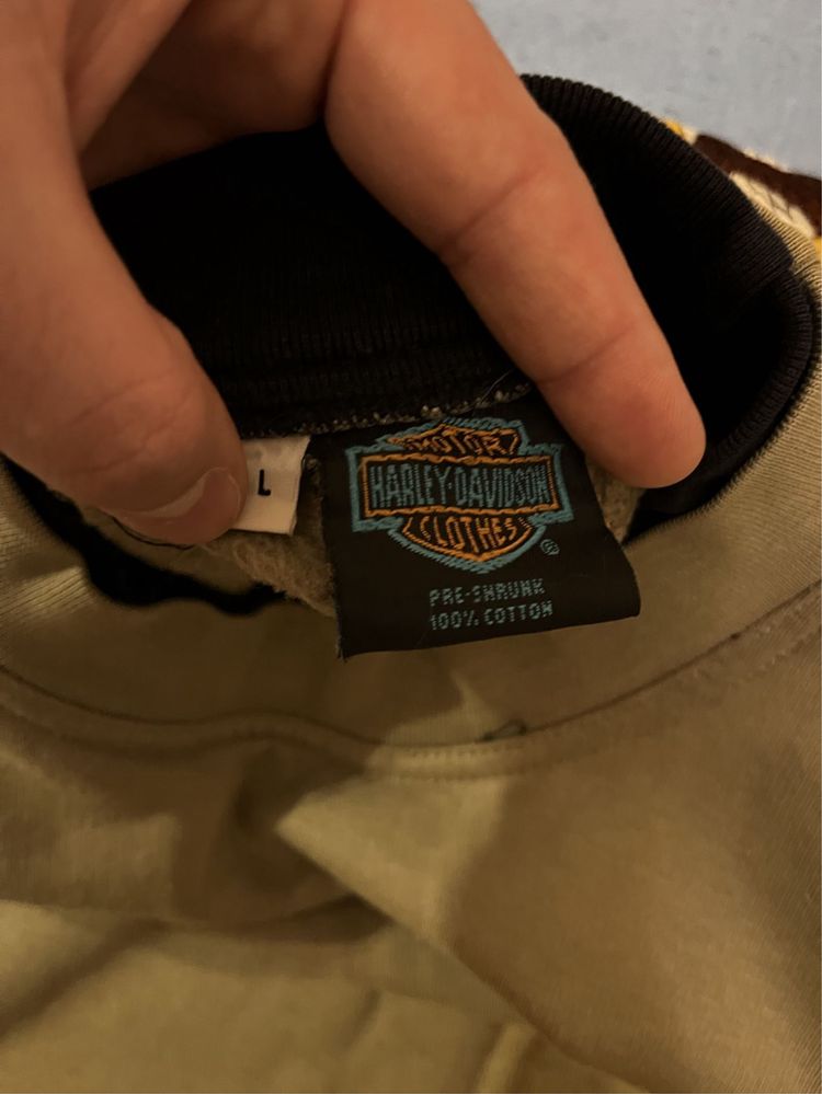 Harley Davidson hoodie (made in USA)