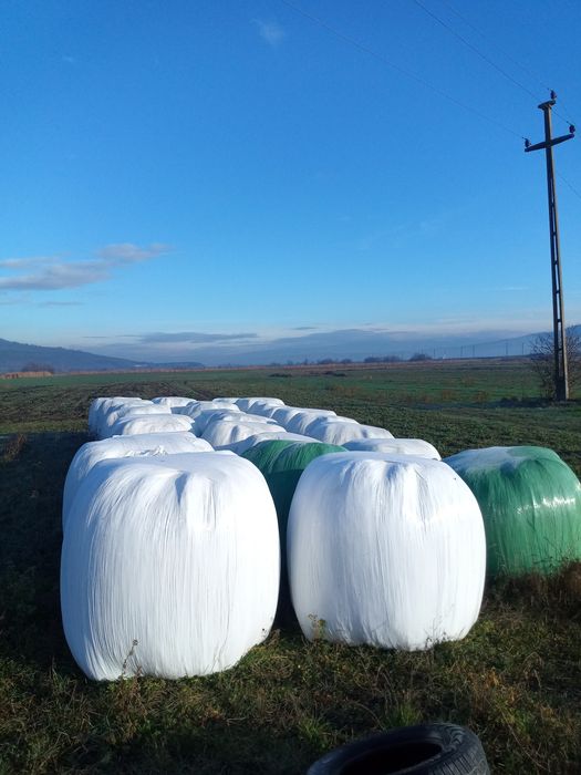 Vand baloti de lucerna infoliati