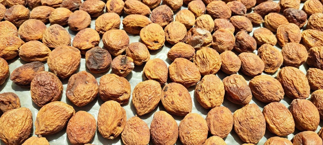 Quruq meva (turshak)