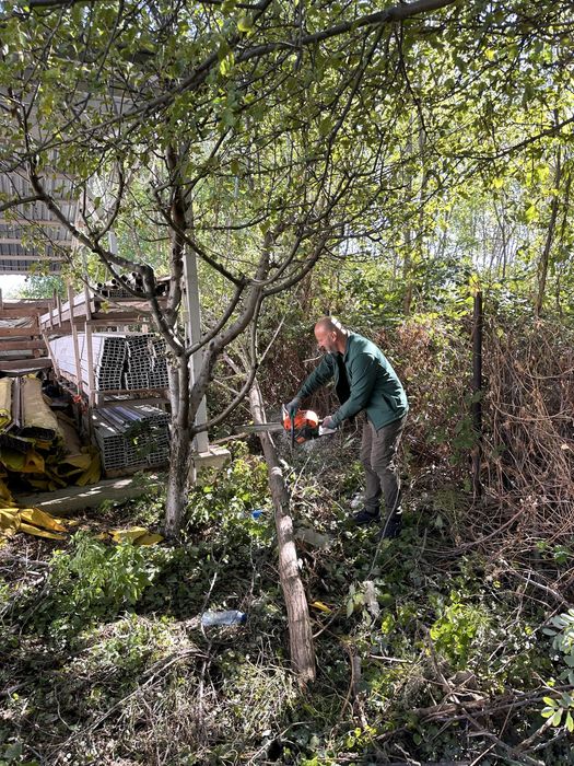 Рязане на дървета, санитарна сеч, дробене на клони, извозване
