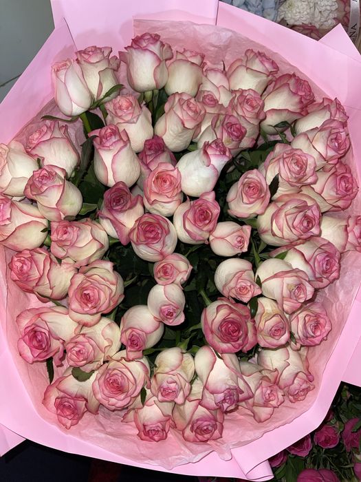 Большой букет из 51 розы по выгодной цене