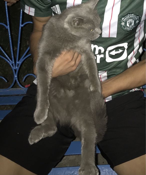 Narxi 800.000 kelishiladi manzil Buxoro