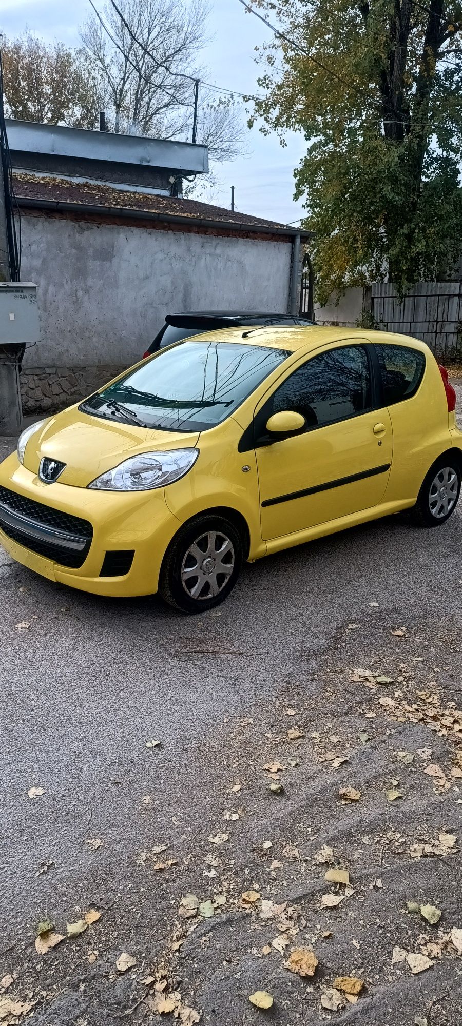 Pegeot 107 1.0 .