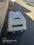 Cusca transport caini