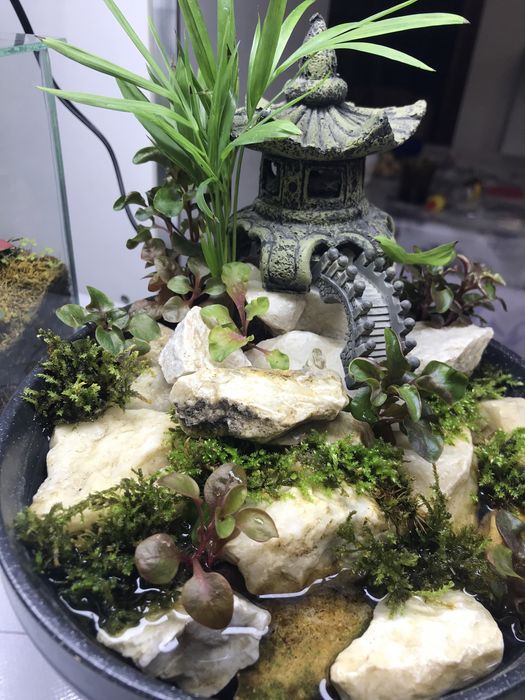 Продам мини водопад!