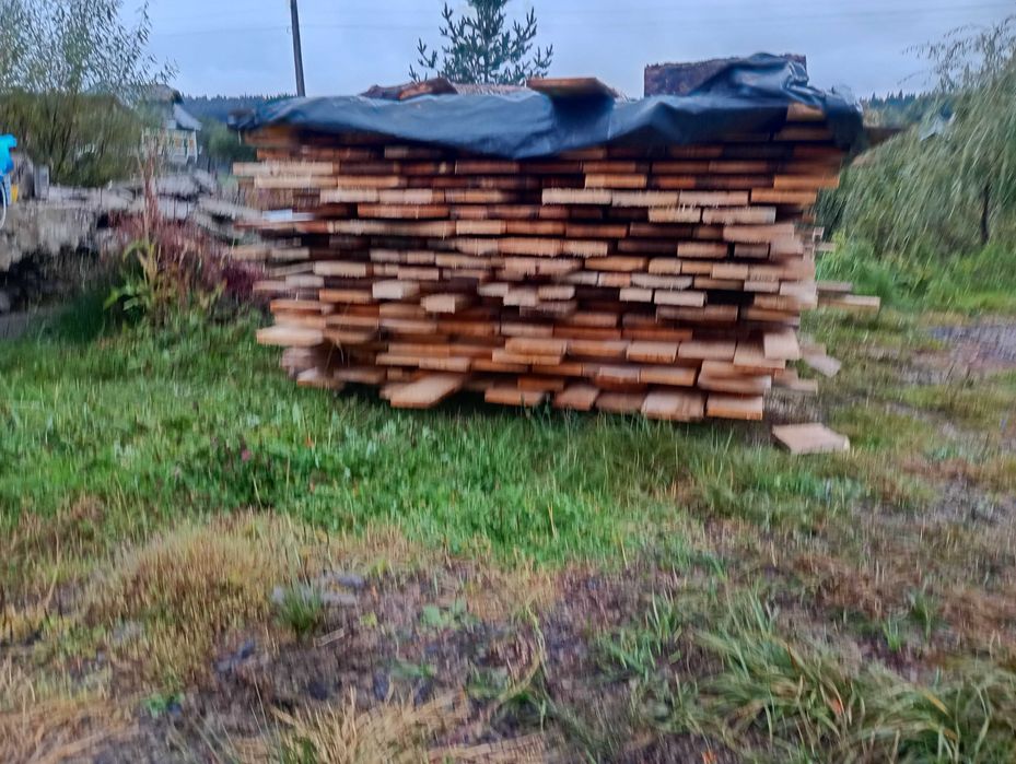 Vând scandura rasinoase