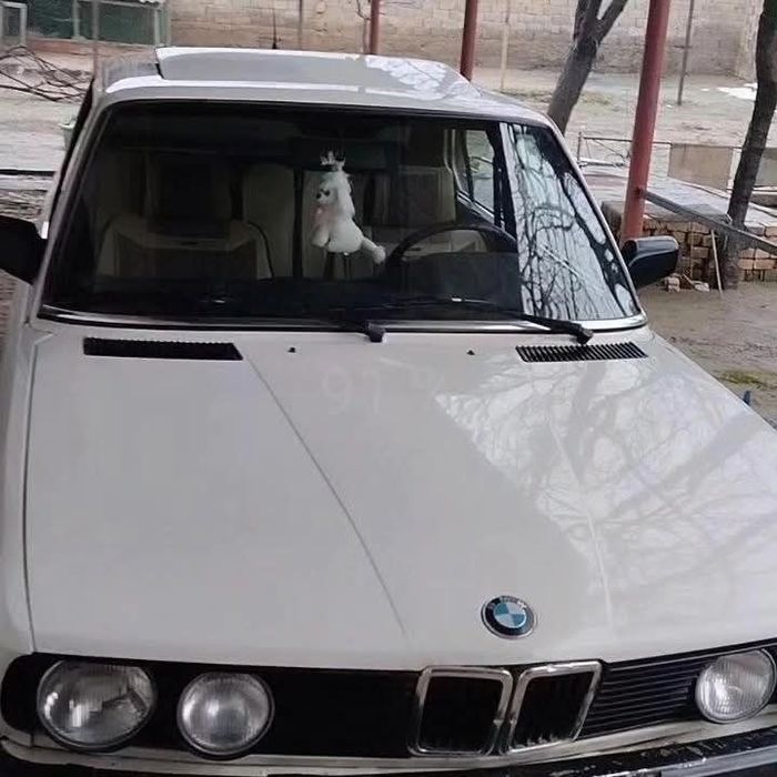 БМВ е 28 525 м 30 матор