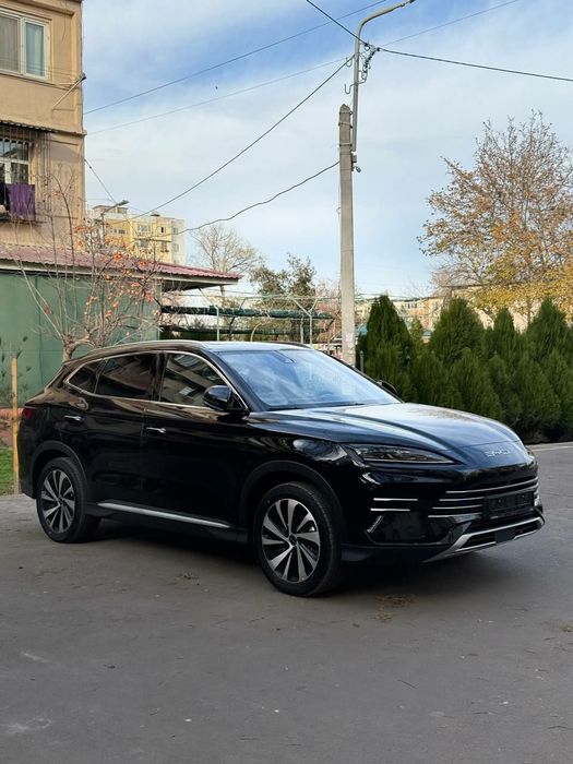 Byd chempion song plus DM-i