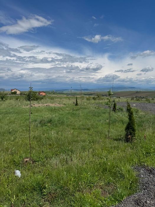 Vand teren intravilan cu proiect de casă .