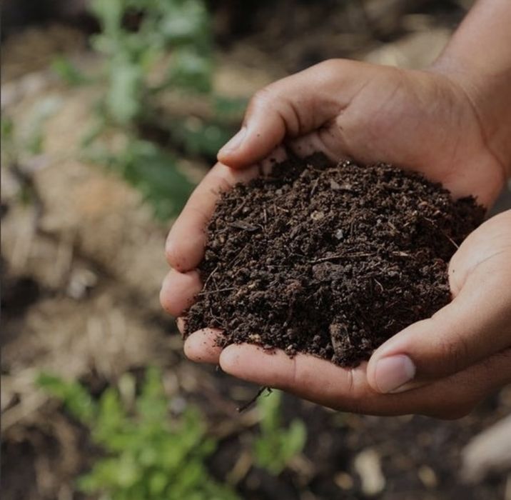 Pamant vegetal si Mranita