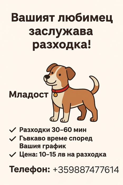 Вашият любимец заслужава разходка!  Младост 10–15 лв

Вашият любимец
