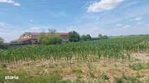 Gaminvest Teren intravilan de vanzare Nojorid, Bihor, V4169
