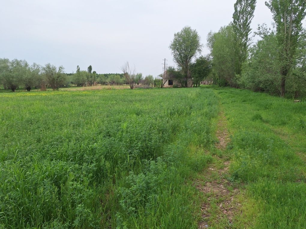 Uchaska sotiladi
