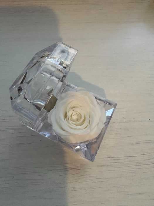 Вечна роза в кристална кутия