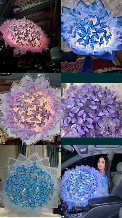 Kapalak buket, Mandarin buket,Dollar buket