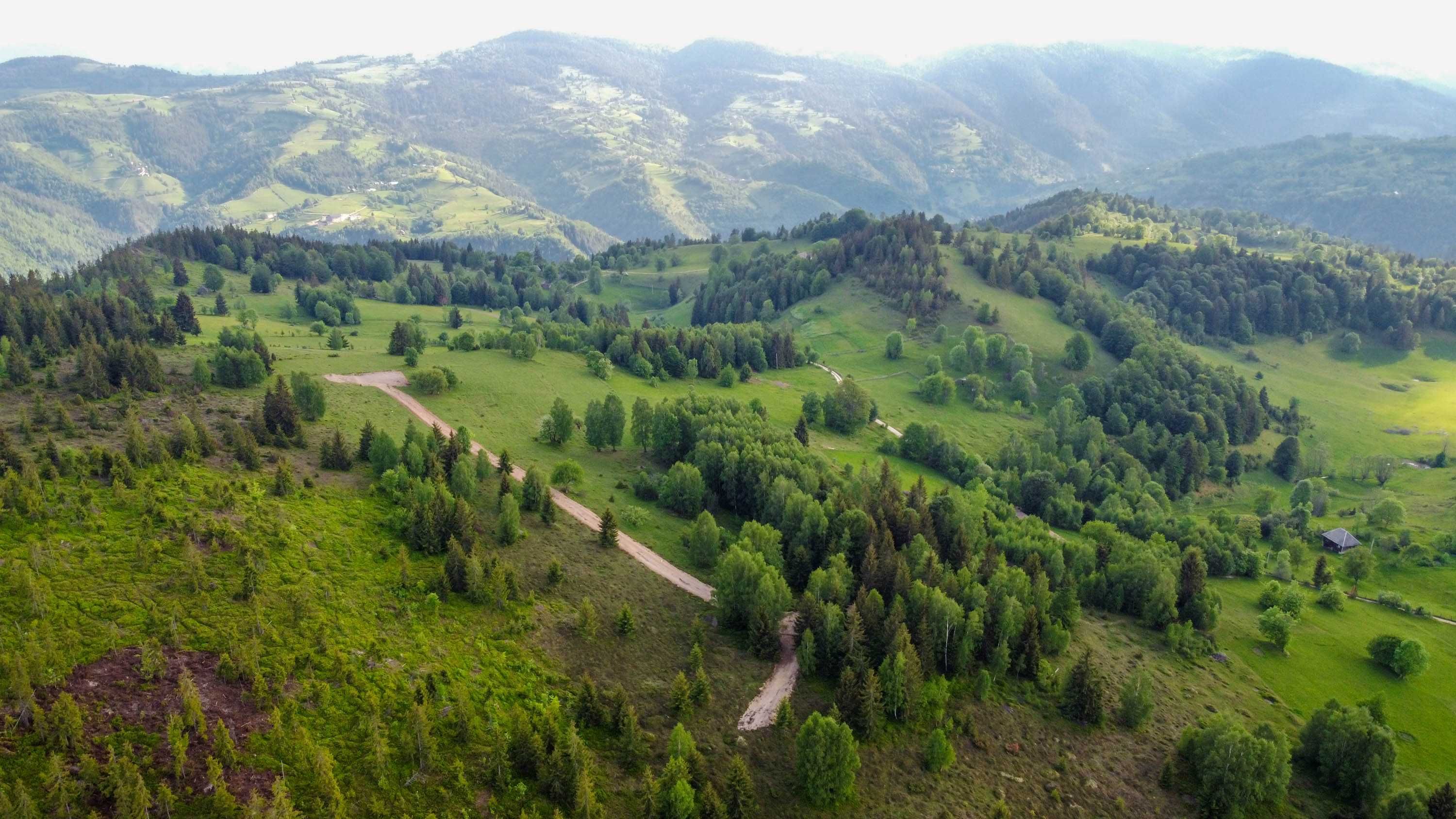 Teren cabana in Apuseni