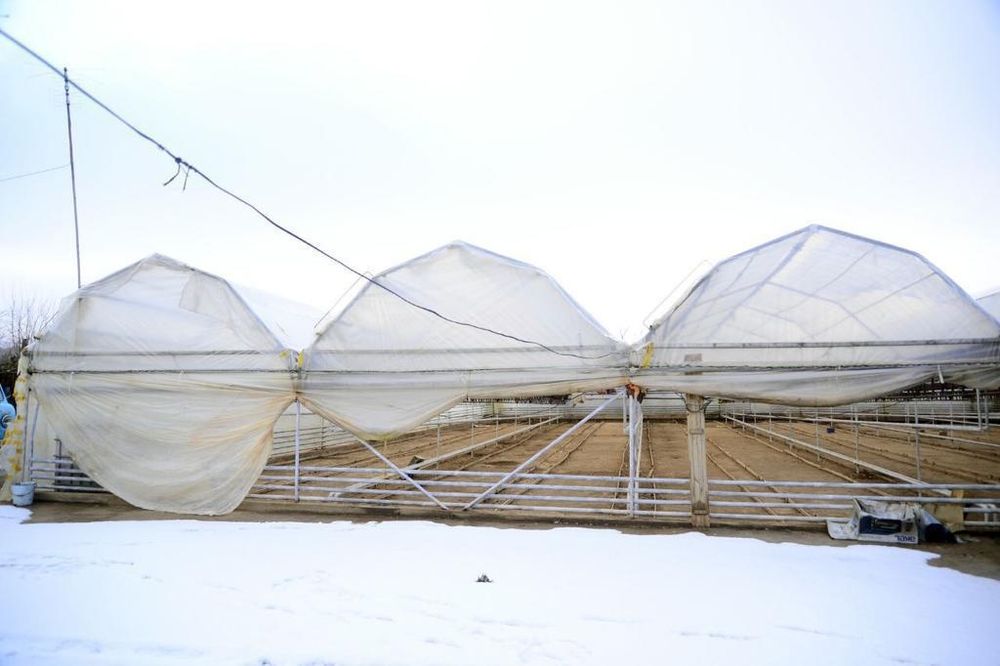 Срочно дом продаётся