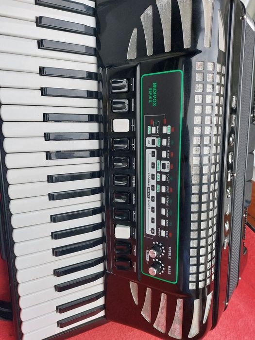 Acordeon Excelsior 120 basi