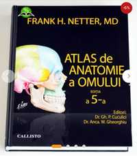 Atlas de anatomie a omului Netter PDF ediția a 4a