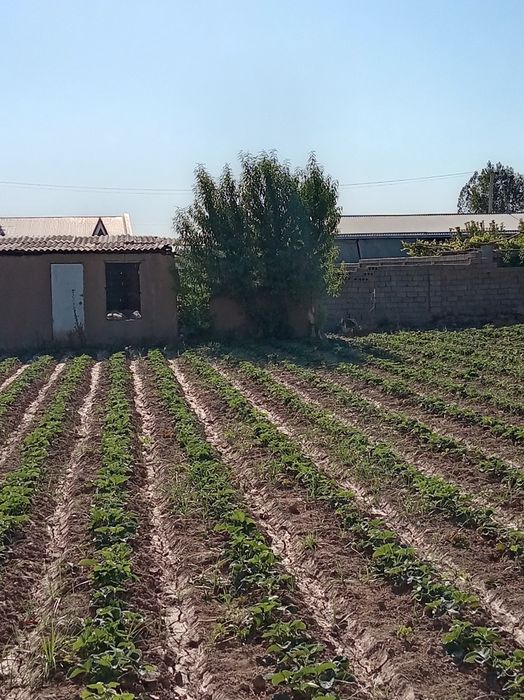 Земельный участок 6 сотик