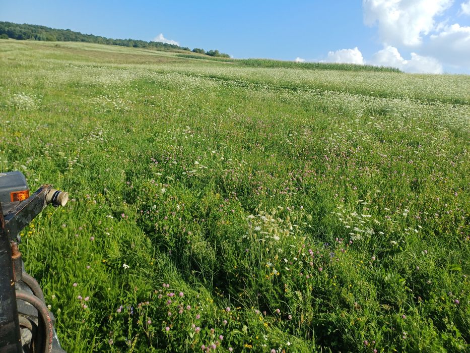 Vind baloti de otava